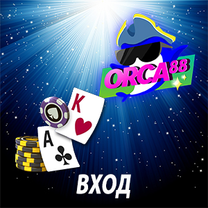 Вход в Orca88